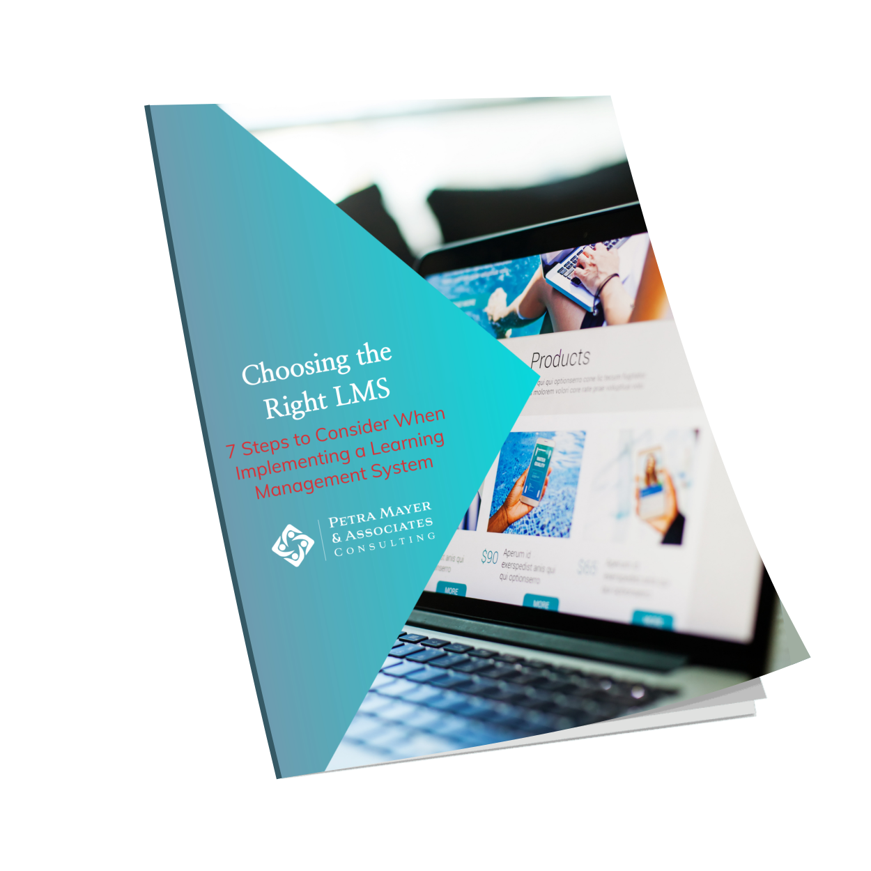 choosing the right LMS White Paper